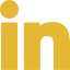 Social Icon