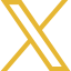 Social Icon